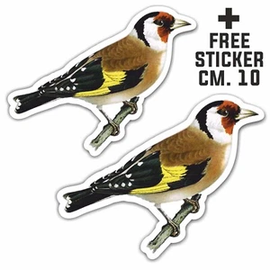 adesivo prespaziato cardellino +1 FREE STICKER cm.10 - Imagen 1 de 1