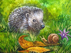 Original Watercolor Painting Hedgehog Snail Green Grass Flower Leaf ACEO Art - Picture 1 of 2
