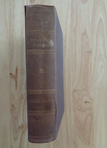 Technologisches Wörterbuch Band 2 von Gustav Eger 1884 HC - Bild 1 von 1