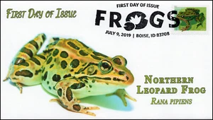 19-178, 2019, Frogs, Pictorial Postmark, First Day Cover, Northern Leopard Frog - Picture 1 of 1