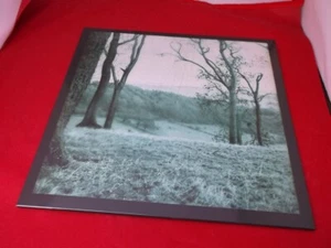 Black Eagle Child / Donato Epiro: Split LP NEAR MINT LP - Picture 1 of 4