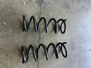 Rear Coil Springs - Picture 1 of 2