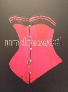 RARE NEW UNDRESSED A BRIEF HISTORY OF UNDERWEAR BY EDWINA EHRMAN V&A PUBLISHING - Picture 1 of 9