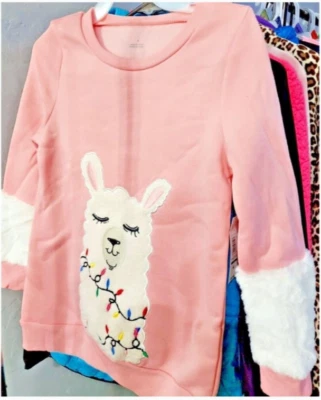 EUC Huge Lot Of Girls Casual Clothes 15 pieces ALLSEASON Girls Size 10-12 - Image 1 of 4