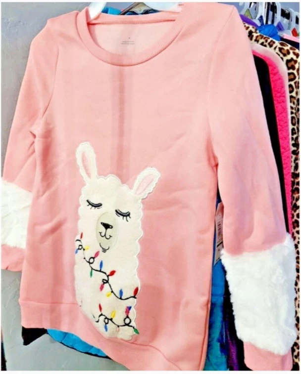 EUC Huge Lot Of Girls Casual Clothes 15-20 pieces WINTER  Girls Size 10-12 - Image 1 of 4