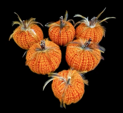 Lote 6 Suéteres Calabazas Hechos a Mano con Ramitas y Plumas Foto 1 de 4