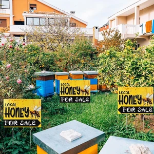 3 Pcs Local Honey Yard Sign 12 X 16" Plastic Horizontal Sold Stakes Double Sided - Picture 1 of 6