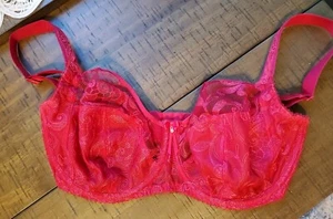 Fantasie Bra Cherry Red Lace Nwot 30h Underwire No Padding Full Coverage - Picture 1 of 7
