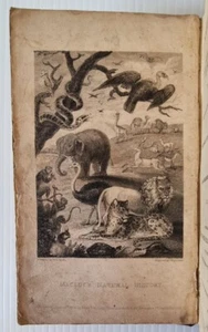 1834 /Goldsmith's NATURAL HISTORY /Woodcuts throughout!!! /Birds-Fishes-Insects - Picture 1 of 12