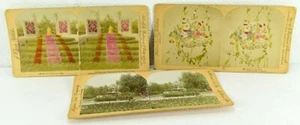 Stereoskop Littleton Underwood Washington Park/Muschelblumen/Lincoln Pack 3 Karten - Bild 1 von 3