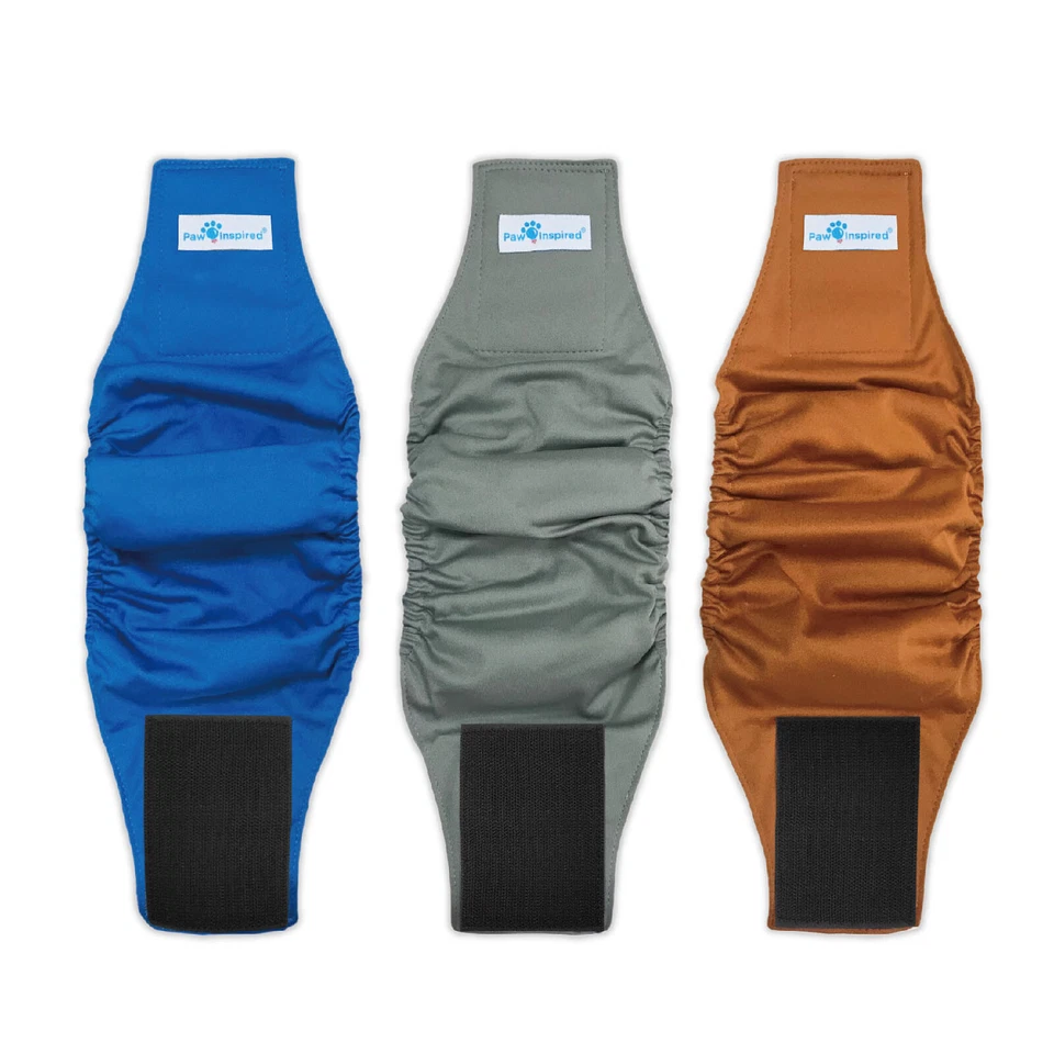 Paw Inspired Washable Reusable Male Dog Diapers Belly Wraps Bands, Black Lining - Image 1 of 1