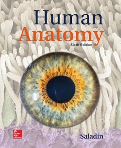 Loseblatt für Saladin menschliche Anatomie - Bild 1 von 1