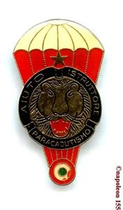 PARACHUTISTE Insigne Instructor Pays a identifier - Imagen 1 de 2