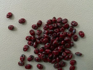 Perline Superuno 2,5 x 5 mm (2) - Foto 1 di 29