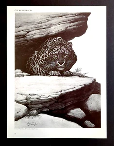 Guy Coachholeach Schneeleopard "Hinterhalt" Kunst Exlibris Druck 10 - Bild 1 von 4