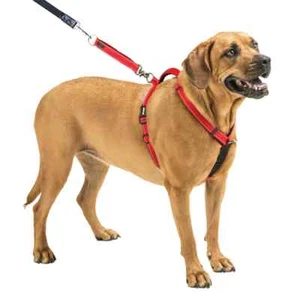 Sporn The Ultimate Dog Red Control Harness - Picture 1 of 8