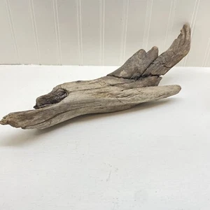 Driftwood Natural Decoration Length 16 1/2” - Picture 1 of 7