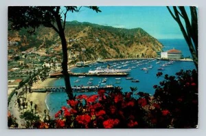 Postal de California Avalon Bay Catalina Island View Terrace Drive Casino Steamer - Imagen 1 de 2