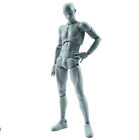 Bandai Figurine S.H.Figuarts Body Kun Dx Set Gray Color Set Brand New Box