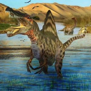 Spinosaurus (Water) DINOSAUR POSTER 24 X 18 Inches NICE! - Picture 1 of 2