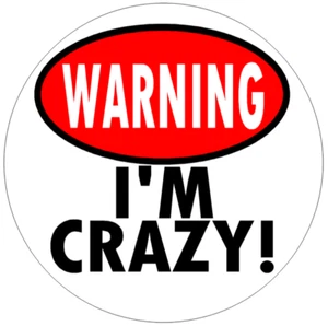 Warning I'm Crazy! - 100 Pack Circle Stickers Decals 3" x 3" - Picture 1 of 1