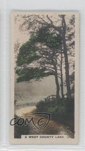 1924 Cavanders The Homeland Series Tobacco Hand-Coloured Small #41