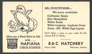 1957 Winamac in B & C Küken Geflügelzüchter haben Kalifgrau NH weiß siehe Info - Bild 1 von 1