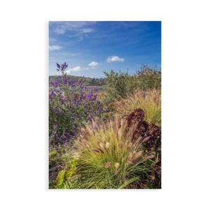 Stampa su Tela su Carta Poster o Quadro Markoff Barbara Spring at Lagoon - Imagen 1 de 2