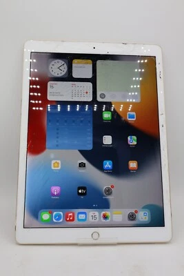 Apple iPad Pro 12,9 WiFi 2.Gen. A1670 256GB Rosé Gold Displayschaden #5318 - Bild 1 von 4