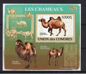 COMORO ISLANDS -  2009 CAMELS   M2054 - Picture 1 of 1