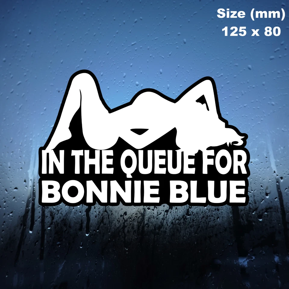 IN THE QUEUE FOR BONNIE BLUE Sticker, Car, Van, Truck, Adhesive, Vinyl, Laptop - Image 1 of 1