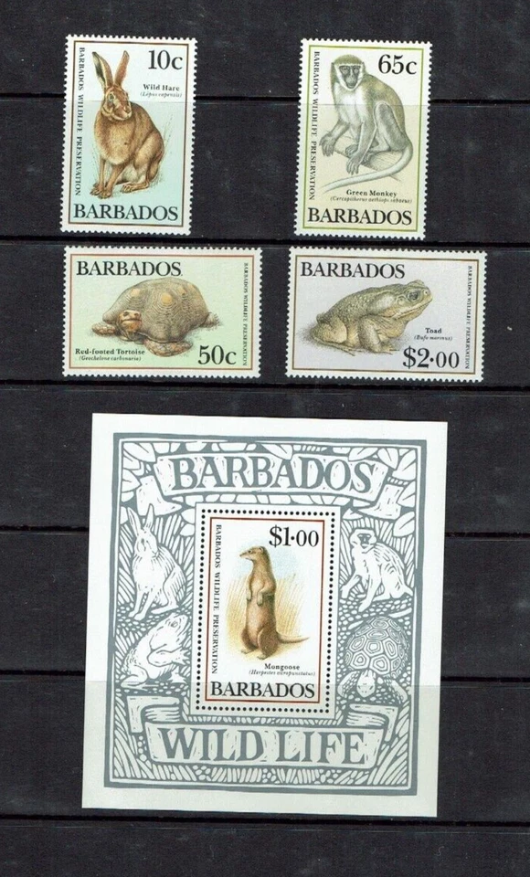 Barbados: 1989, Wildlife Preservation, MNH set + M/sheet. - Image 1 of 1