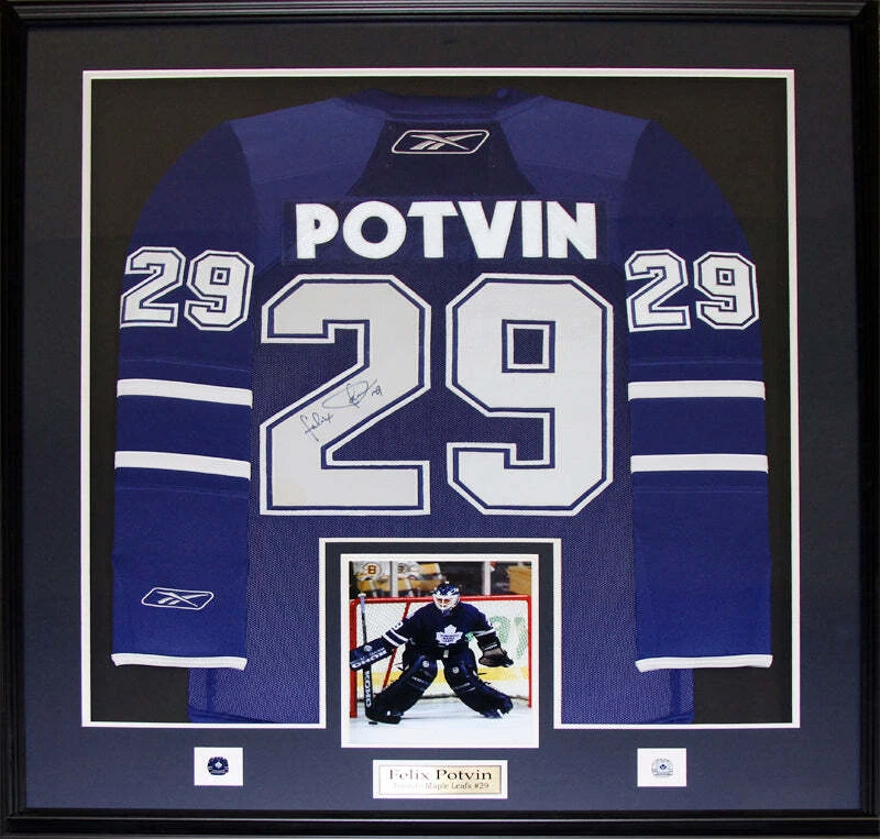 Felix Potvin Toronto Maple Leafs Signed Jersey Hockey Collector Frame — 第 1/1 张图片