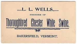 Antique Wells Thoroughbred Chester White Swine Breeder Trade Card Bakersfield VT - Picture 1 of 1