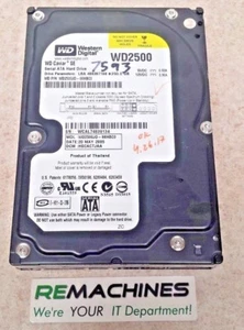 Disco duro Western Digital WD2500JD-98HBC0 250 GB SATA 3.5 ¡PROBADO! ¡ENVÍO GRATUITO! - Imagen 1 de 3