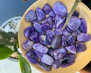 Charoit Trommelstein Trommelstein Russischer Charoit Kiesel Poliert Taschenstein - Bild 1 von 5