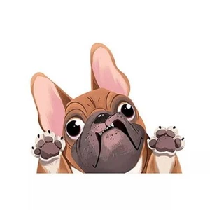 ADESIVO AUTO BULLDOG FRANCESE CANE CARTONE ANIMATO 3D TRIDIMENSIONALE MARRONE - Foto 1 di 3