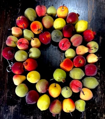 Sugared Coated Fruit Christmas Tree Garland 60" Pomegranate Lemon, Apple, Pear - Image 1 of 4