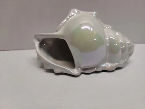 Pier 1 Iridescent Sea Shell Table Accent 3" x 6" Glossy Finish Seashore - Picture 1 of 8