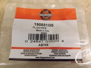 New Briggs & Stratton 190581GS PLUG-PIPE OEM - Picture 1 of 3