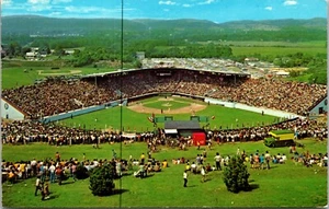 Postal Howard J Lamade Field de Pennsylvania de la multitud de ligas menores de béisbol - Imagen 1 de 2