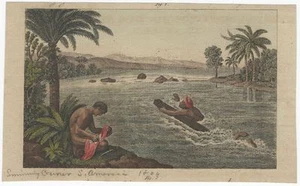 "Grabado coloreado a mano del siglo XIX - ""Mensajero de natación"" de río sudamericano" - Imagen 1 de 1