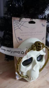 Door Prop Skull Light Sounds Movement Knocker Haunted Halloween Decor Spooky NWT - Picture 1 of 7