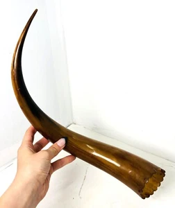 Antique Hollow Horn - Picture 1 of 4