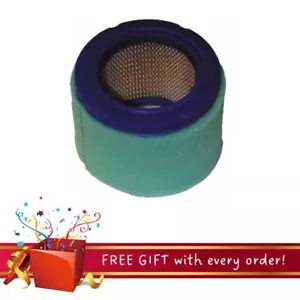 Filtro de aire generador Cummins/Onan 140-2379 OEM, BGE/NHEL/BGEL/NHE/BGM/NHM - Imagen 1 de 2