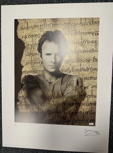 Poster Firmato Sting 24x32 Litografia La Polizia Autografo Musica LE 1431/1500 JSA - Foto 1 di 8