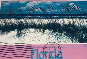 Florida Sea Oats And Sand Dunes Postcard X13 - Picture 1 of 4
