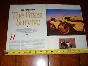 1969 Yamaha TD2 - 1989 Yamaha TZ 250W ORIGINAL 1989 ARTIKEL - Bild 1 von 3