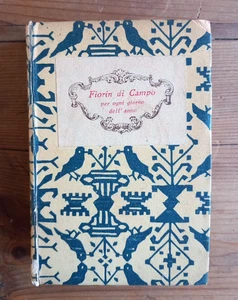 RAFFAELLO CIONI - FIORIN DI CAMPO STORNELLI PER OGNI GIORNO - GIANNINI 1934 - Foto 1 di 8