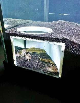 Aquarium Corner Hole Cave Underground Viewing Hide Fish Tank Decor Hide - Image 1 of 4